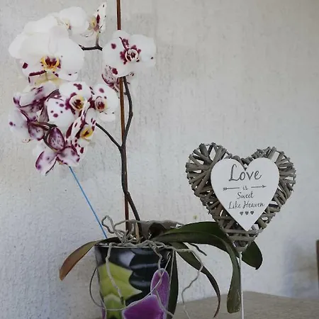 Leonora Apartament